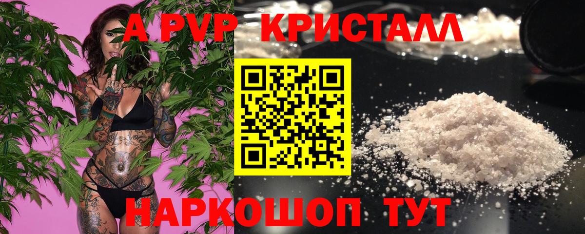 Галлюциногенные грибы Печора