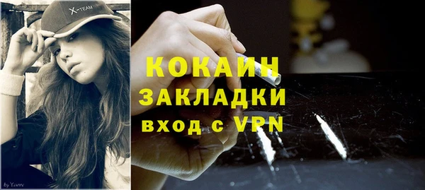 твердый Михайловск