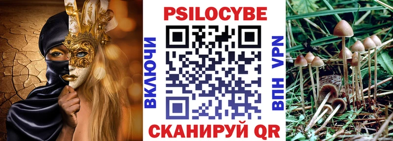 Псилоцибиновые грибы GOLDEN TEACHER  Печора 