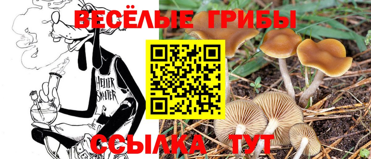 Галлюциногенные грибы GOLDEN TEACHER  Вход с VPN  Печора 