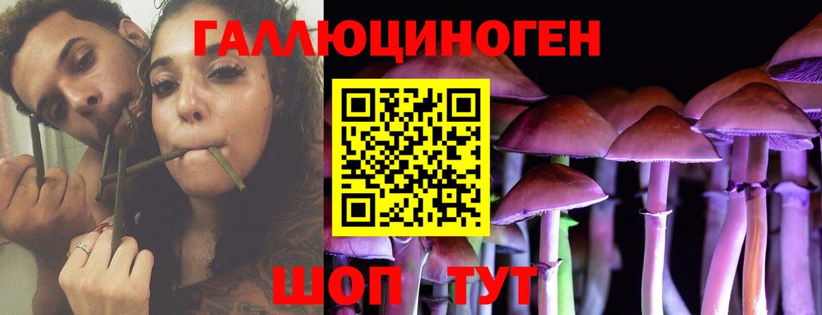Псилоцибиновые грибы MAGIC MUSHROOMS Печора